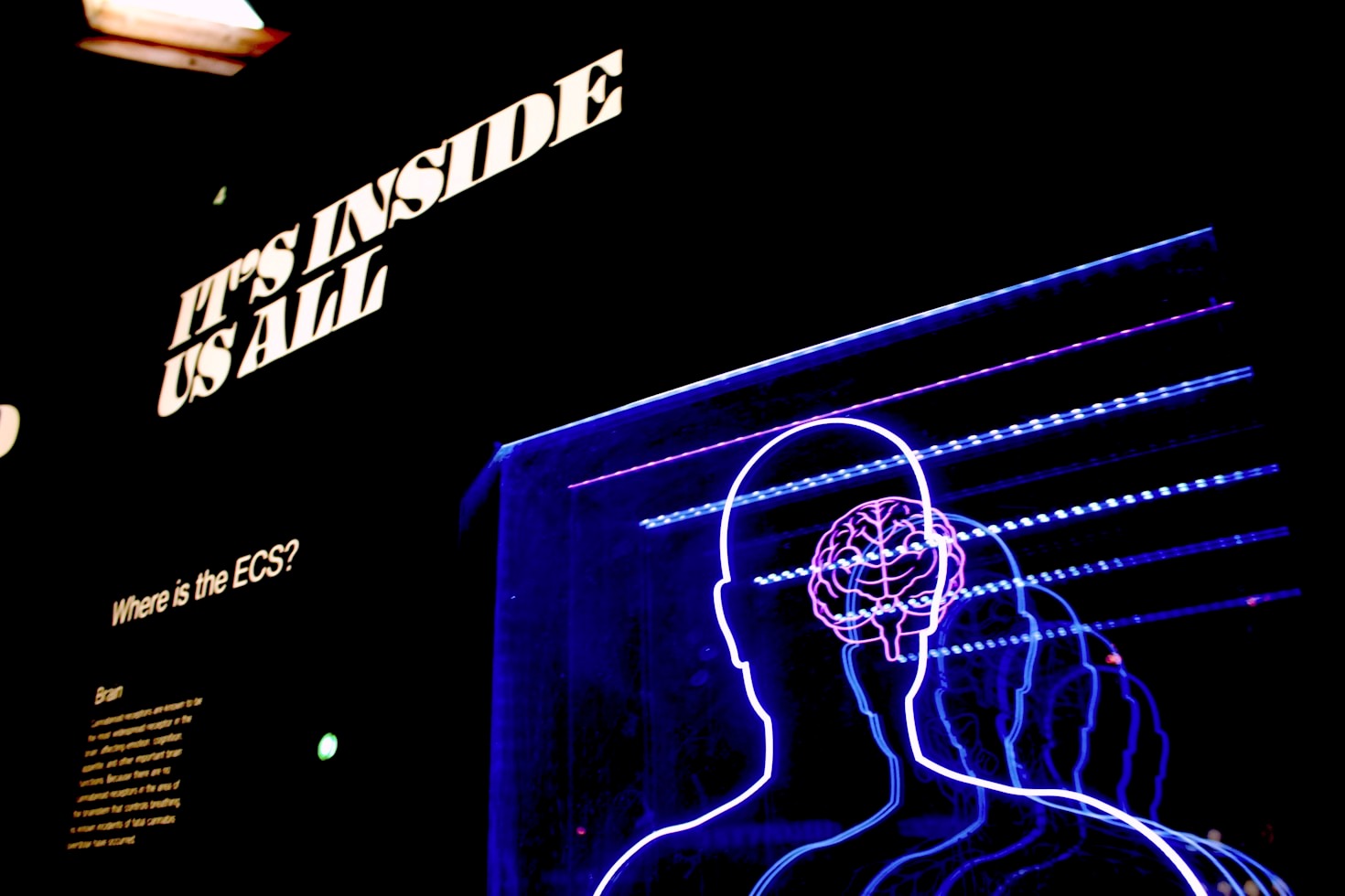 The Role of Emotional Intelligence in Leadership