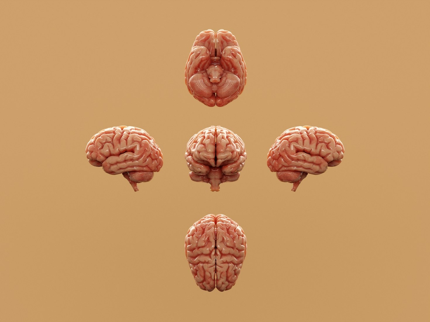 Breaking Down Cognitive Biases for Better Choices